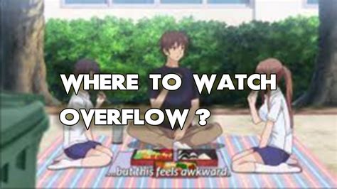 Overflow Porn Videos 